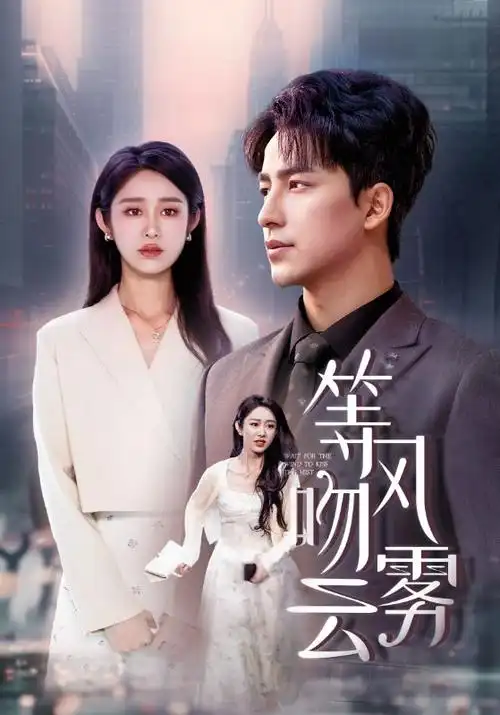 长街旧梦 完结电视剧全集